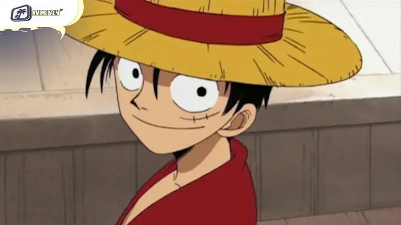 Straw Hat’s Backstories Arc