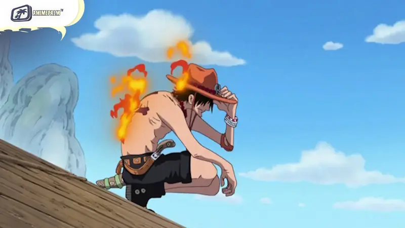 A Special Retrospective Before Marineford Arc